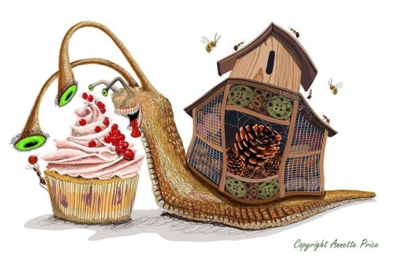 Snailopse. One of the Cake Companions.