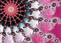 January. Pink Beginnings. January. Pink Beginnings.