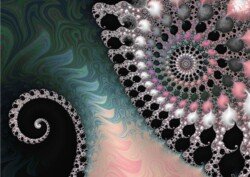 August. Seashell Uprising. August. Seashell Uprising.