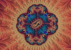 June. Shades of Peacock. June. Shades of Peacock.